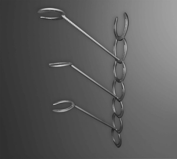 Horse Shoe Hat Rack