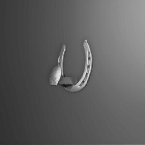 Horseshoe Hook