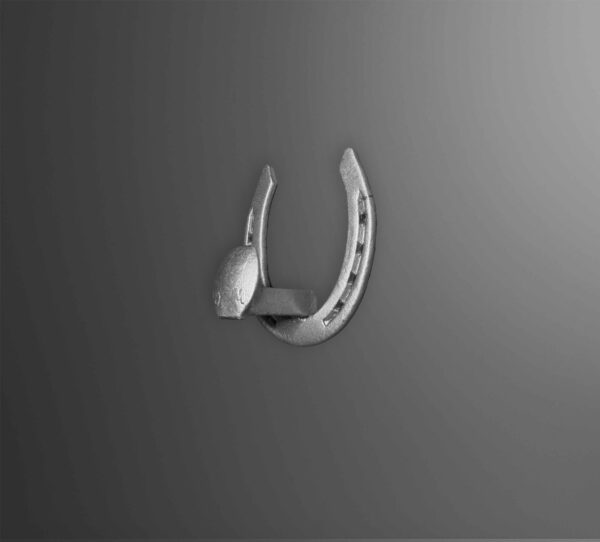 Horseshoe Hook